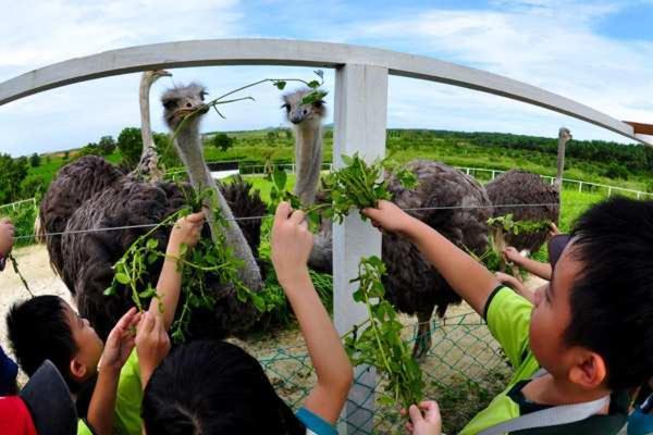 Uk Farm Agro Resort Kluang Exterior photo